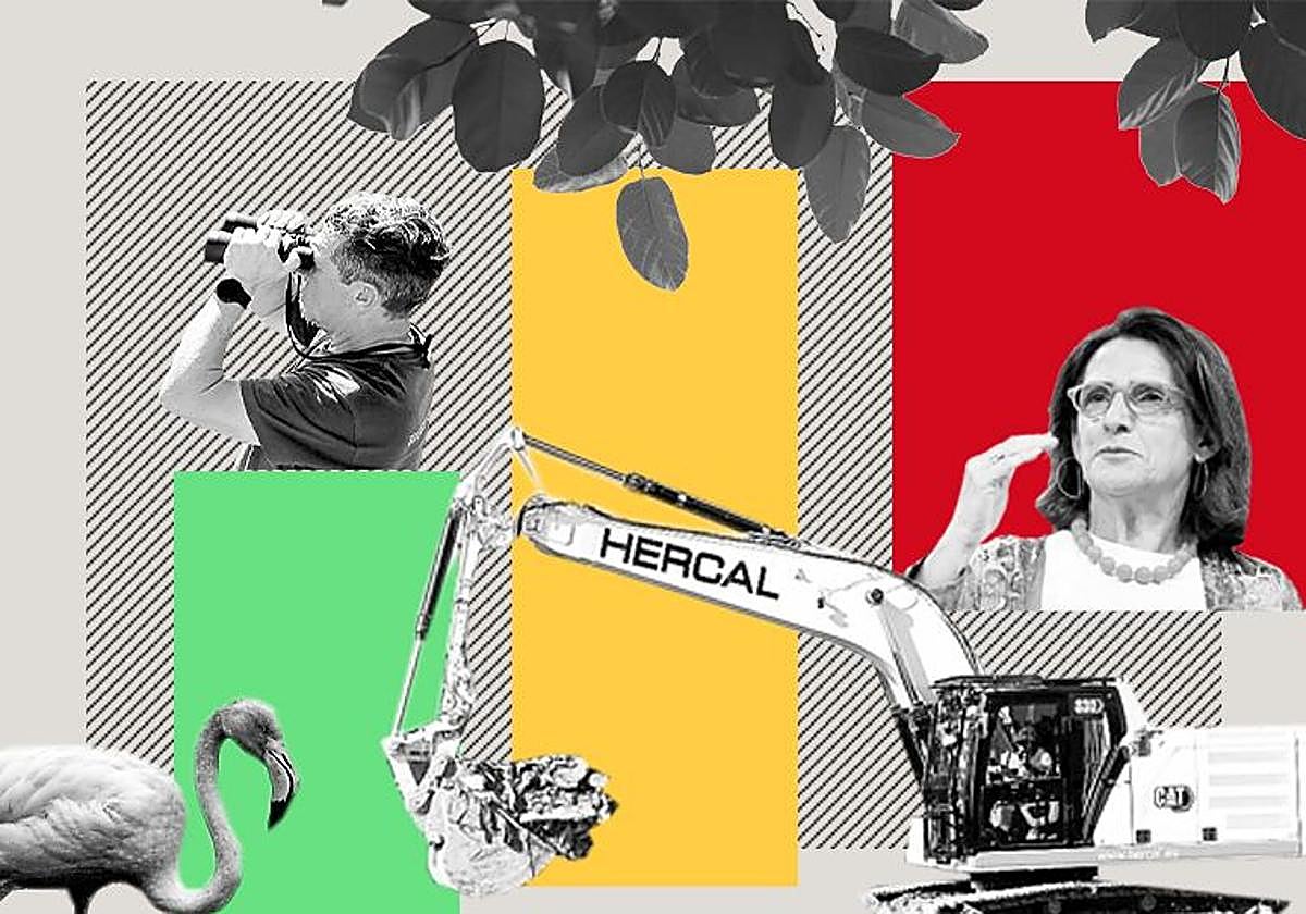 Cartela chequeo medioambiente.