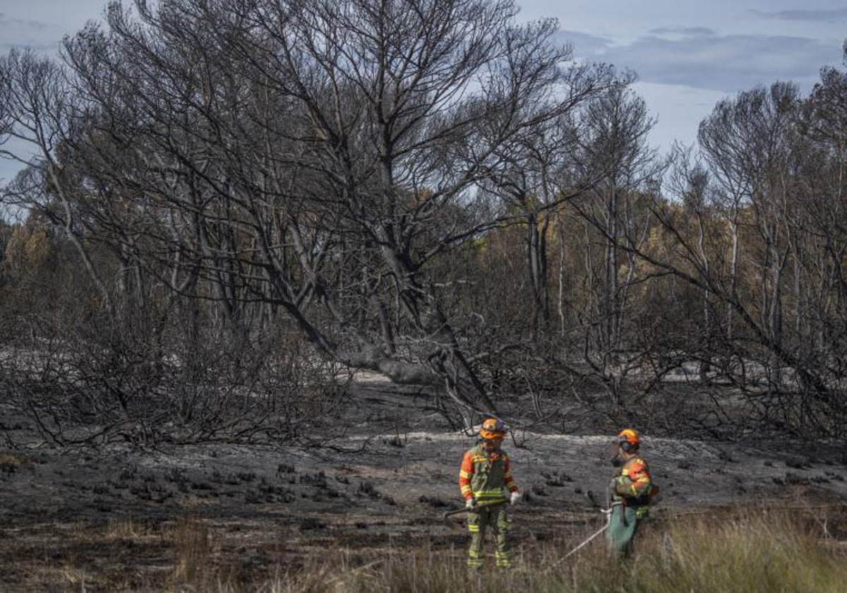 Zona afectada por el incendio de octubre de 2023.