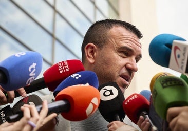 El presidente de la diputación, Vicent Mompó.