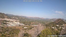Imagen que ofrece la cámara de toda la masa forestal.