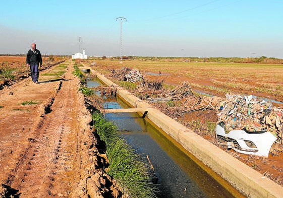 Restos de la dana, acumulados alrededor de una acequia de la Albufera.