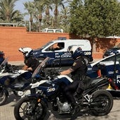 Agentes de diferentes unidades de la Policía Nacional de Elche.