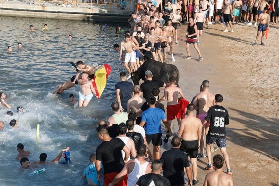 Bous a la Mar en las fiestas de este año en Dénia.
