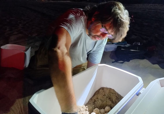 Jesús Tomás en la labor de transporte del nido