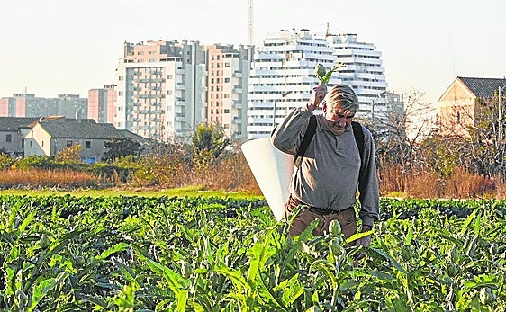 Un agricultor en la Horta Sud.