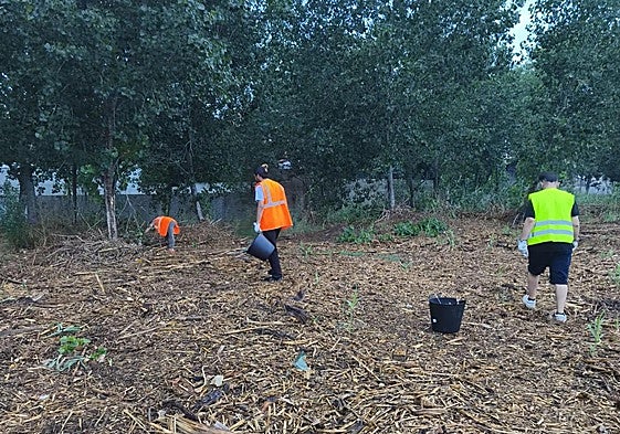 Operarios en tareas de limpieza en el parque del Turia.