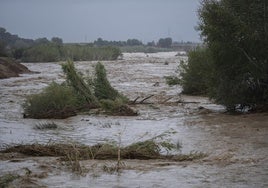Río Magro a su paso por Alfarp el 29 de octubre.
