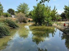 Estado actual del río Sants.
