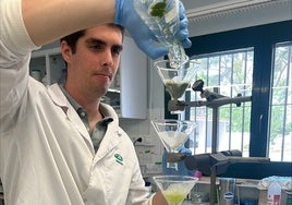Andrés Cayuela es biotecnólogo especializado en biotecnología celular y molecular de plantas.