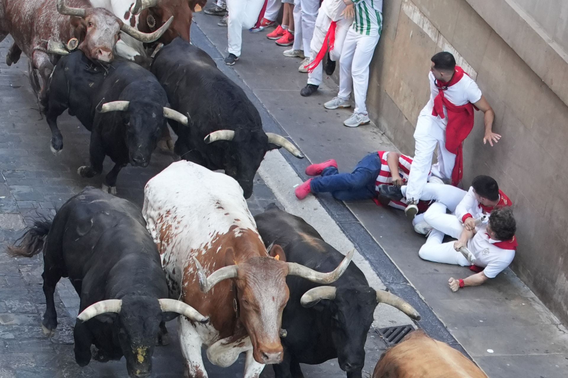 FOTOS | Séptimo encierro de San Fermín 2025