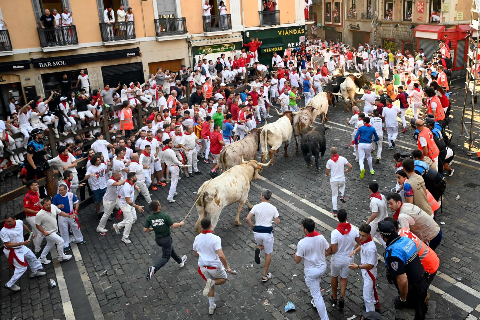 FOTOS | Séptimo encierro de San Fermín 2025
