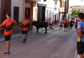 Bou en corda en Picassent tras seguir la fiesta pese a la grave cogida.