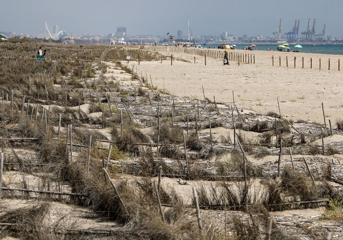 El temporal golpea a las playas del Saler año y medio después de la regeneración