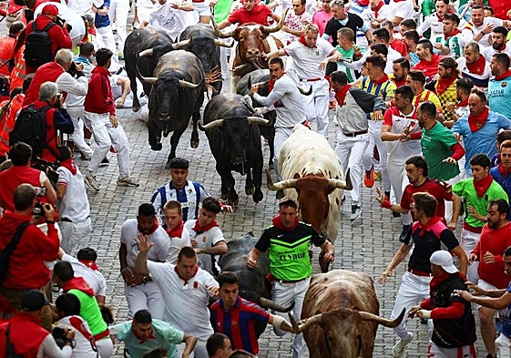 Los Miura en el último encierro de San Fermín 2025.