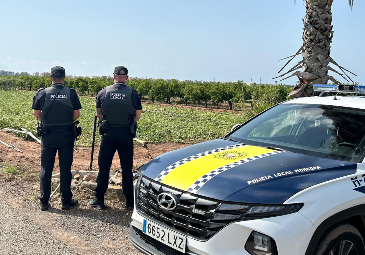 La rápida intervención de la Policía Local permite detener al presunto autor de hurtos en un huerto de Moncofa