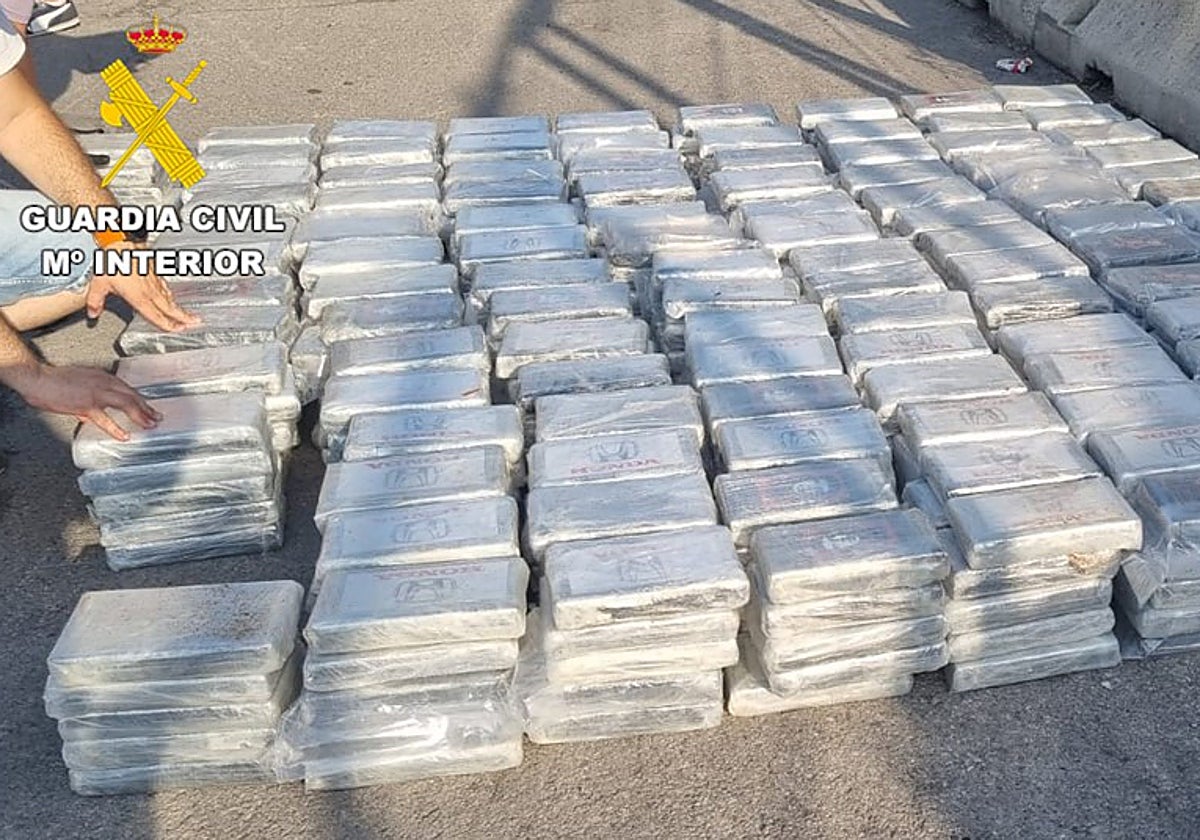 Los paquetes de cocaína intervenidos en el puerto de Valencia.