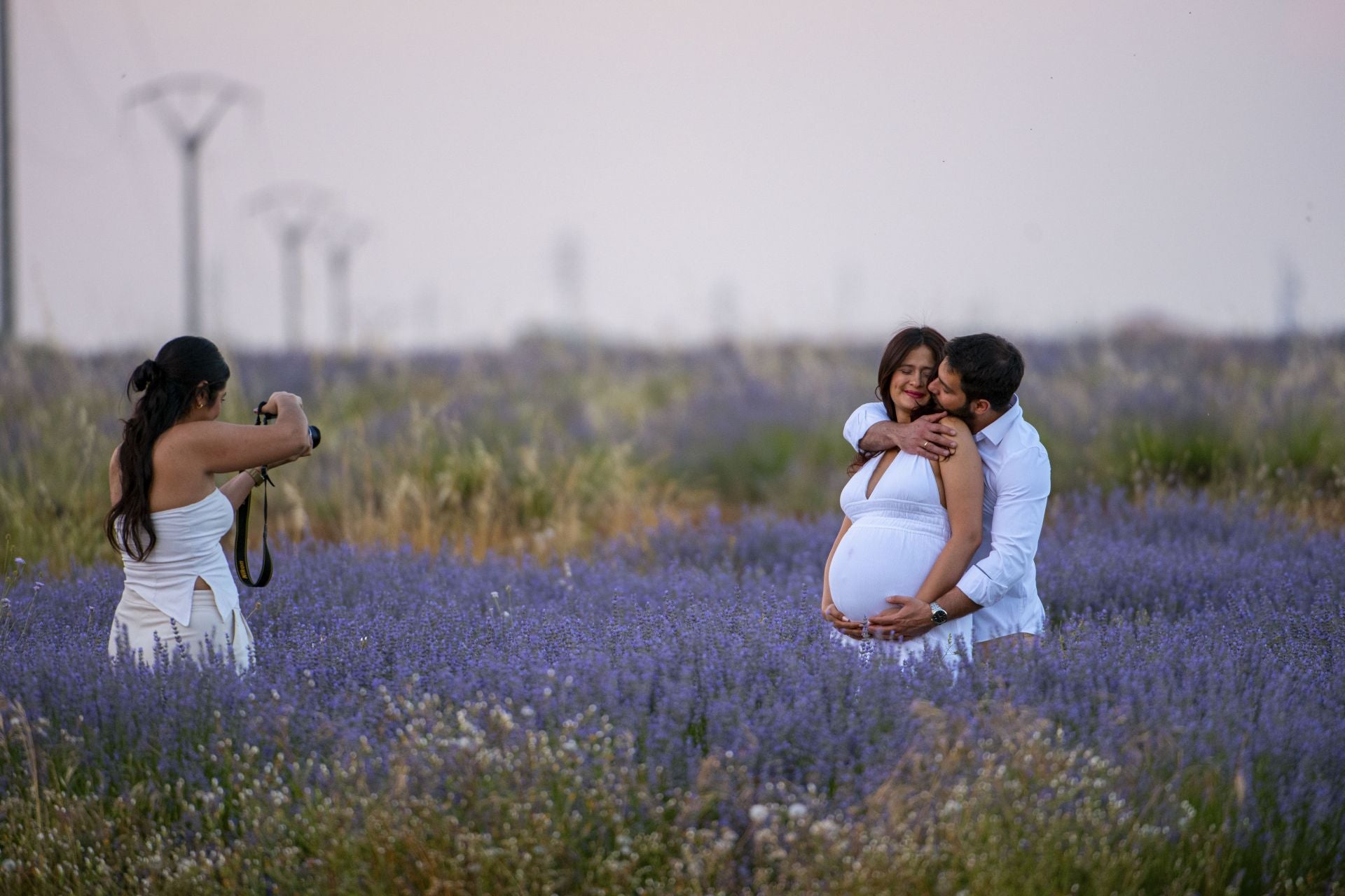 FOTOS | Los románticos campos de lavanda en Brihuega (Guadalajara)