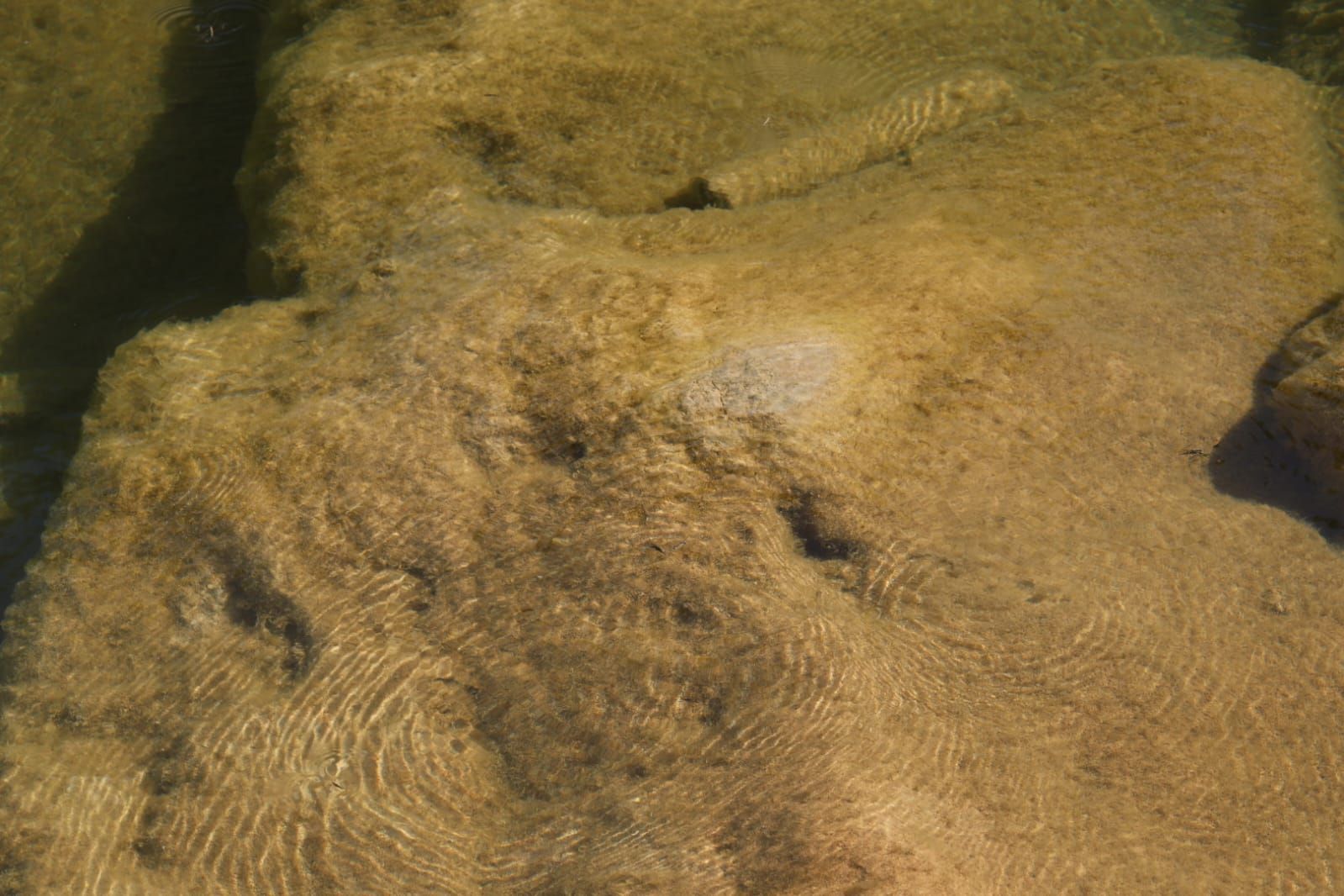 Fotos: Grupos de bañistas sufren nuevas infecciones en aguas del río Buñol