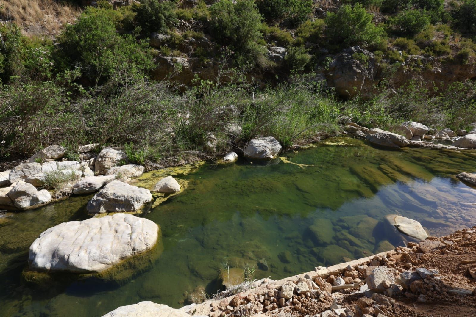 Fotos: Grupos de bañistas sufren nuevas infecciones en aguas del río Buñol