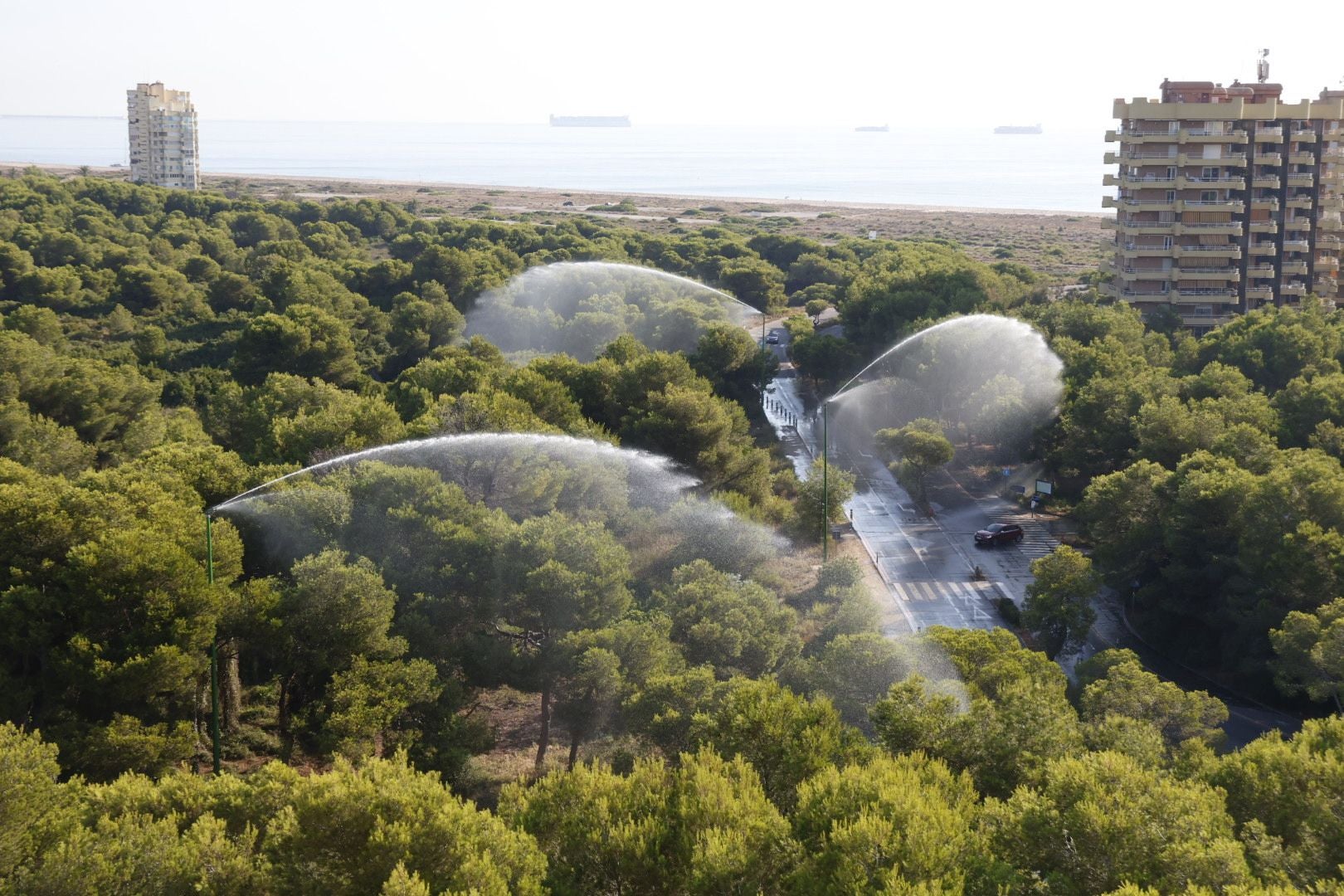 Los cañones del Saler 'riegan' el bosque ante el riesgo de incendio