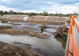 Restos de cañas en el cauce del Turia.