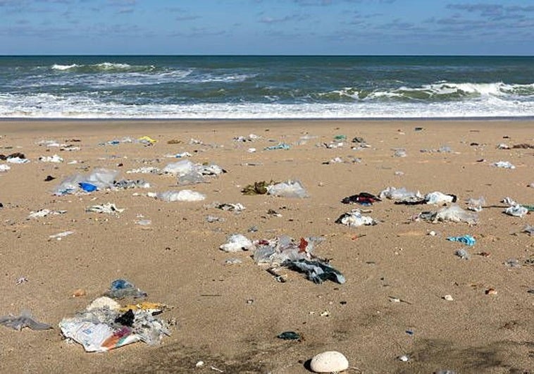 Suciedad en una playa.