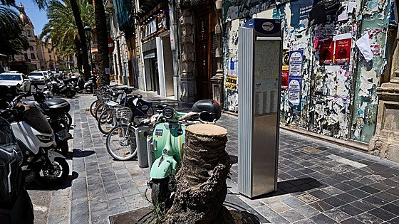 Testigos de la caída de la palmera: «Si vuelve a caer otra puede ser muy peligroso, por aquí pasa mucha gente»