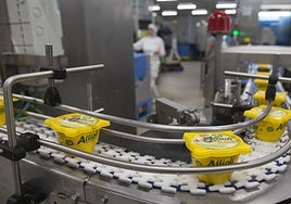 Línea de producción de Choví.