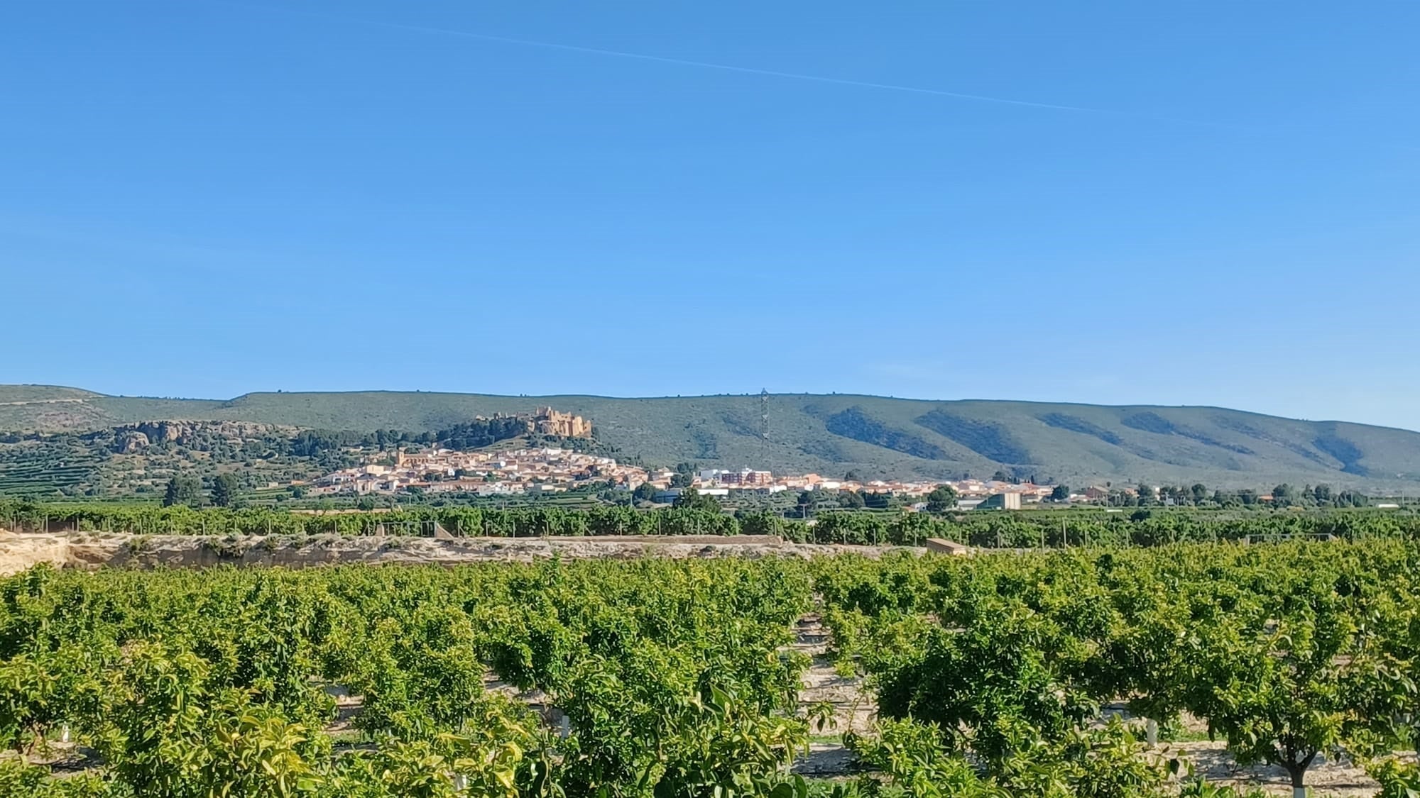 Término municipal de Montesa, con el castillo al fondo, por donde discurre el trazado.