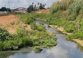 Tramo del barranco donde se denuncian los vertidos.