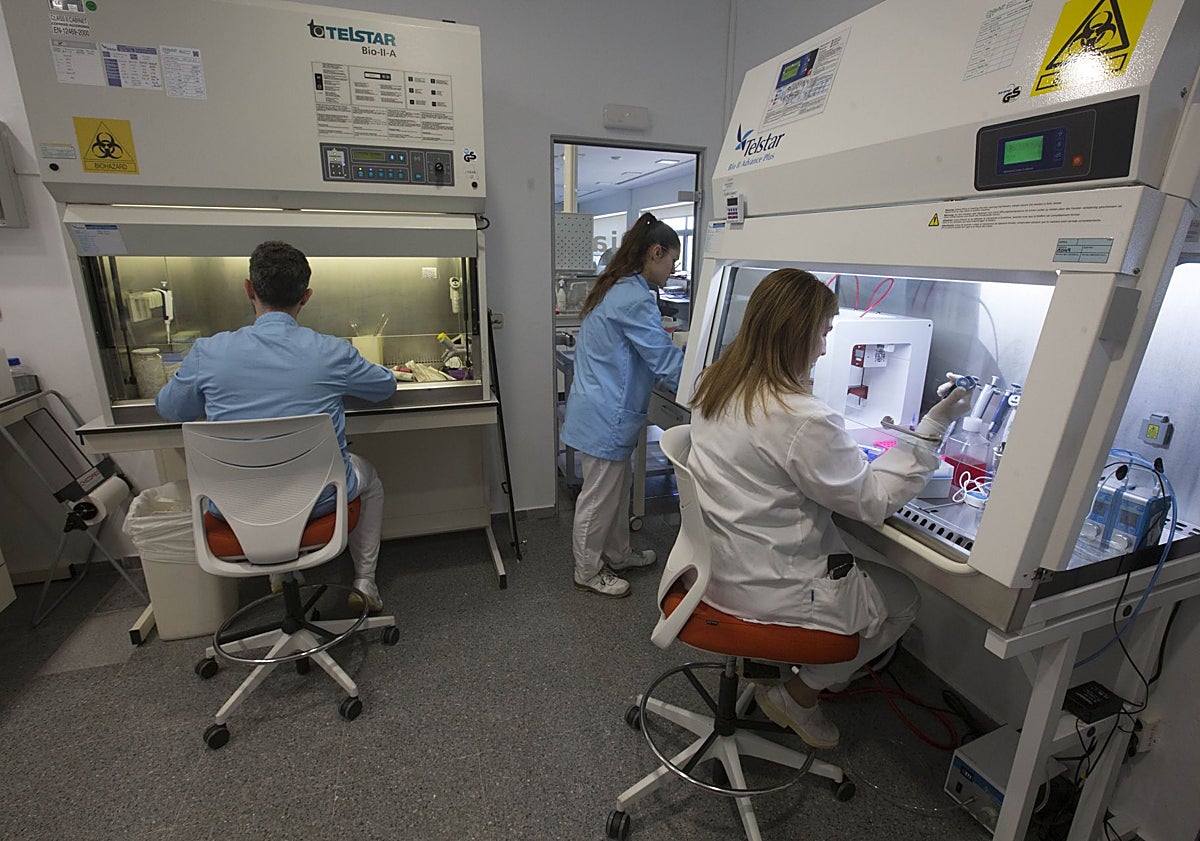 Imagen principal - Científicos en un laboratorio.