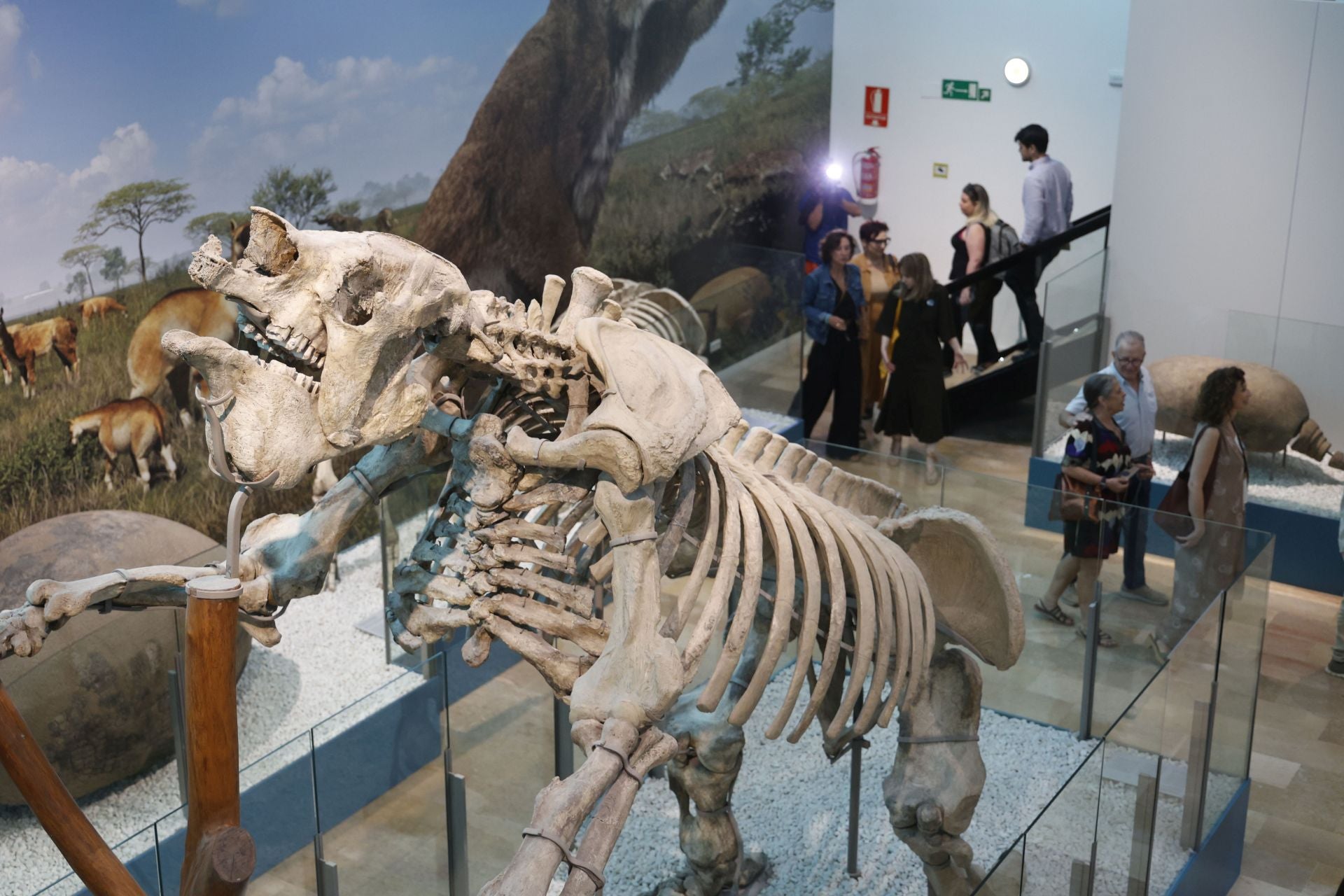 Así es el nuevo museo de Ciencias Naturales de Valencia