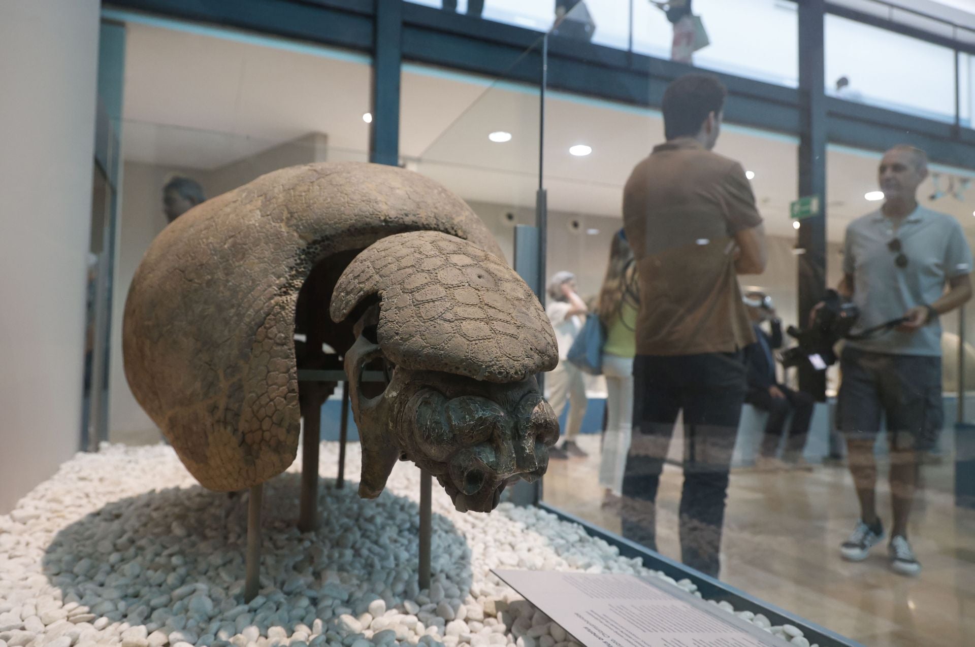 Así es el nuevo museo de Ciencias Naturales de Valencia