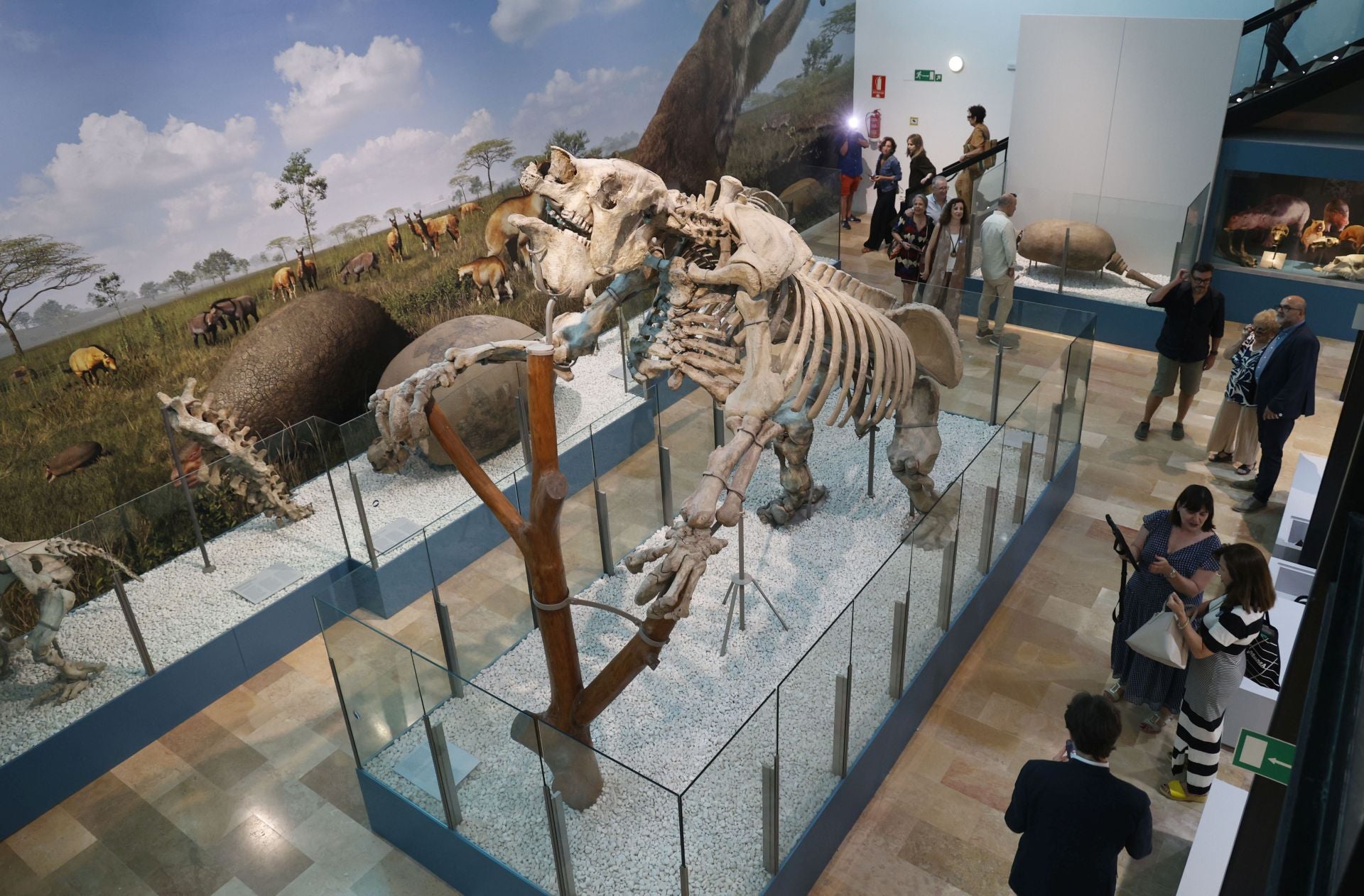 Así es el nuevo museo de Ciencias Naturales de Valencia