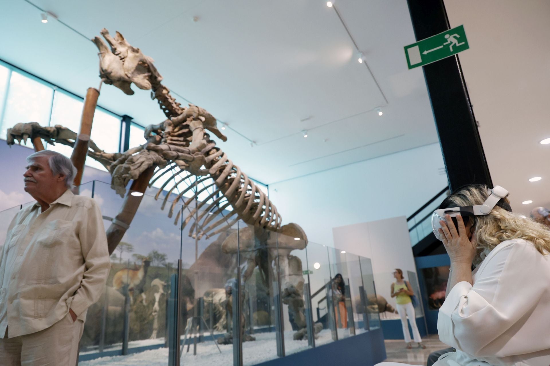 Así es el nuevo museo de Ciencias Naturales de Valencia