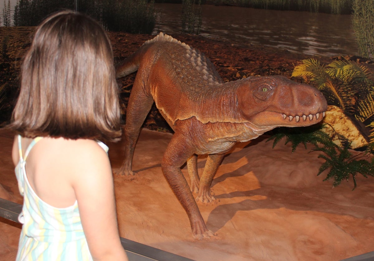 Una niña observa uno de los dinosaurios del museo, este martes.