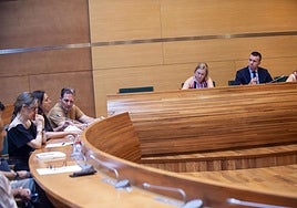 Una de las sesiones de la comisión convocada por la Diputación de Valencia.