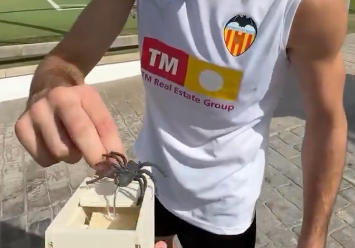 Fran Pérez abriendo la caja con la araña.
