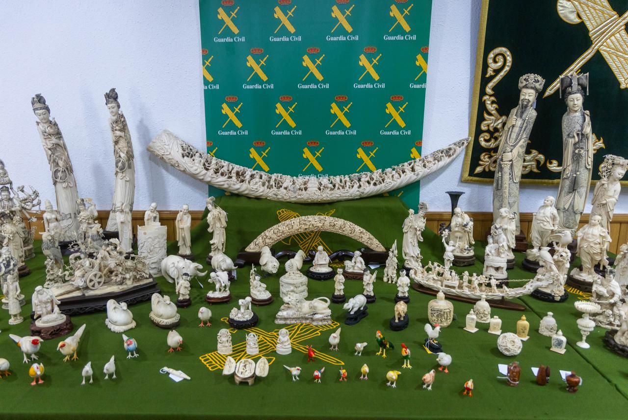 Golpe al tráfico ilegal de piezas de marfil tras la incautación de 127 piezas en un local de Valencia