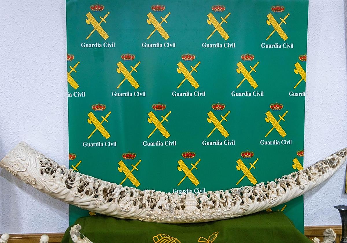 Golpe al tráfico ilegal de piezas de marfil tras la incautación de 127 piezas en un local de Valencia