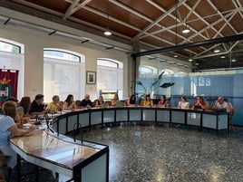 Pleno del Ayuntamiento de Massanassa.