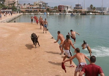 Programa completo de las Fiestas 'Bous a la Mar' de Benicarló 2025