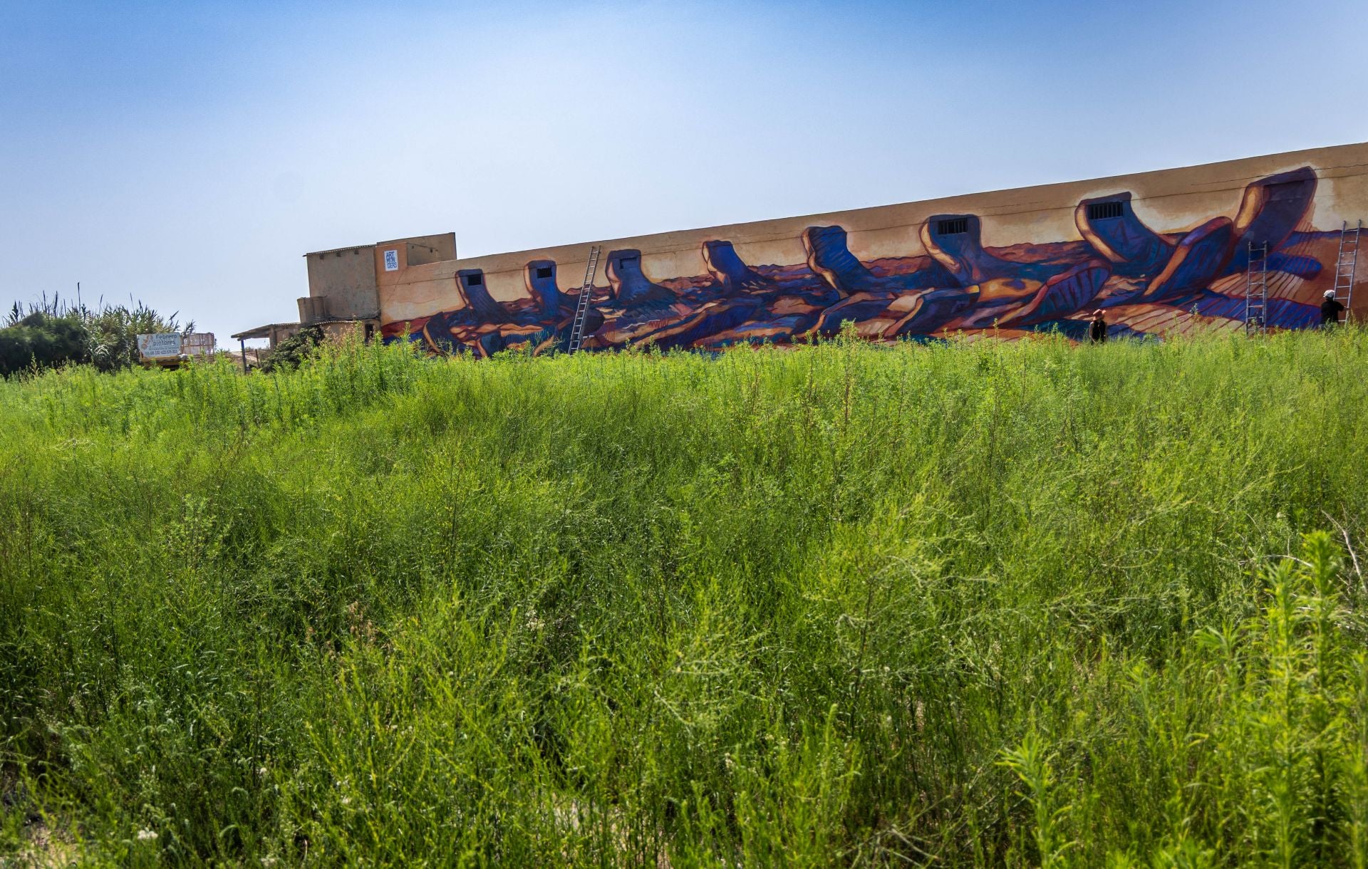 Fotos: Los murales son la nueva decoración de la Huerta de Valencia