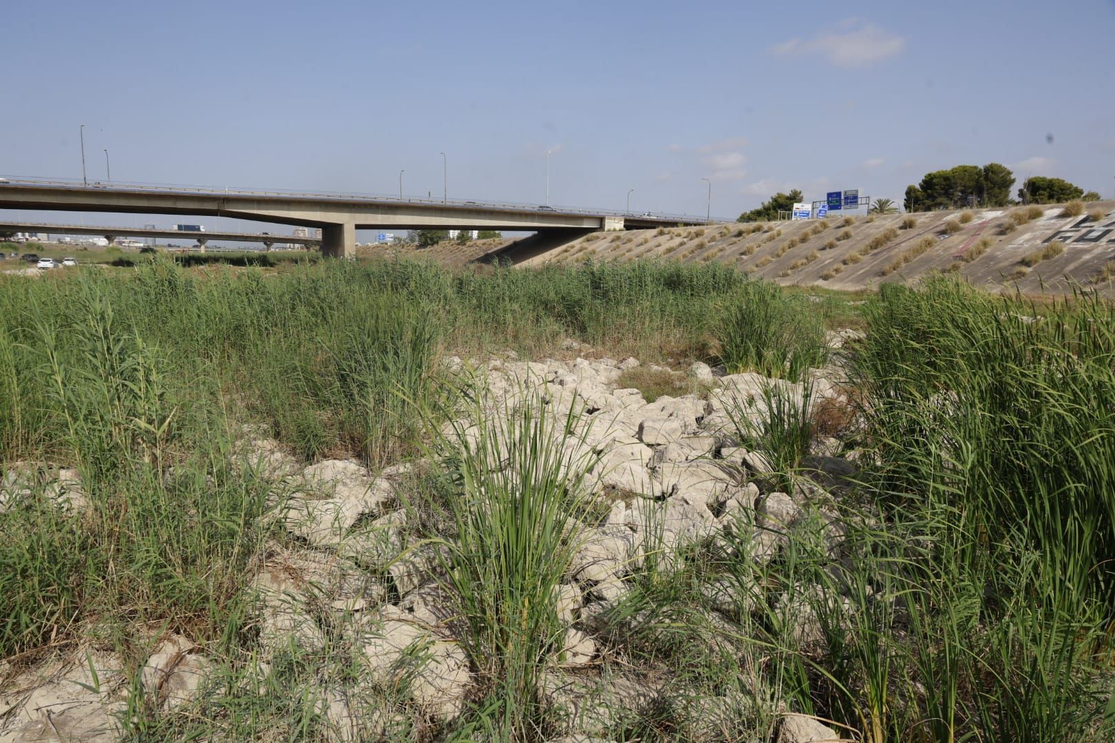 El Ayuntamiento de Valencia limpia el cauce del río ante el retraso de la CHJ