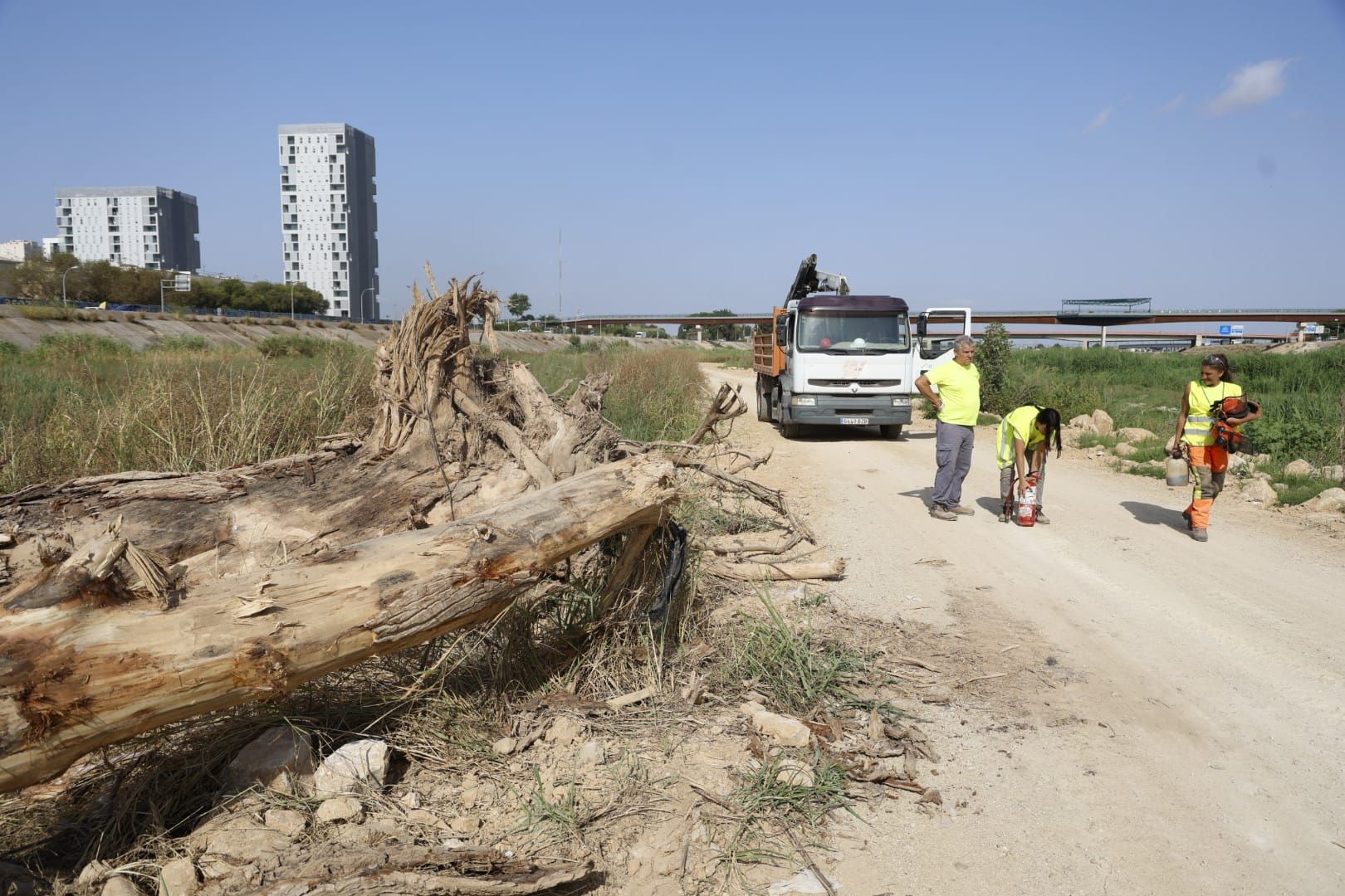 El Ayuntamiento de Valencia limpia el cauce del río ante el retraso de la CHJ