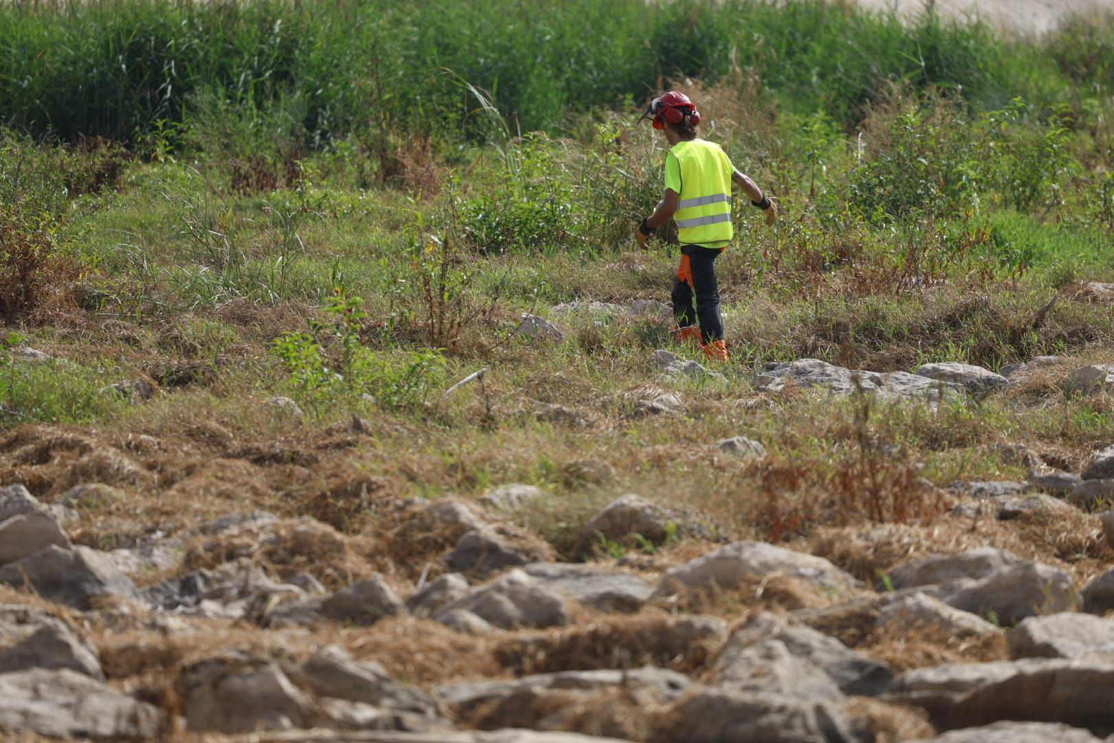 El Ayuntamiento de Valencia limpia el cauce del río ante el retraso de la CHJ