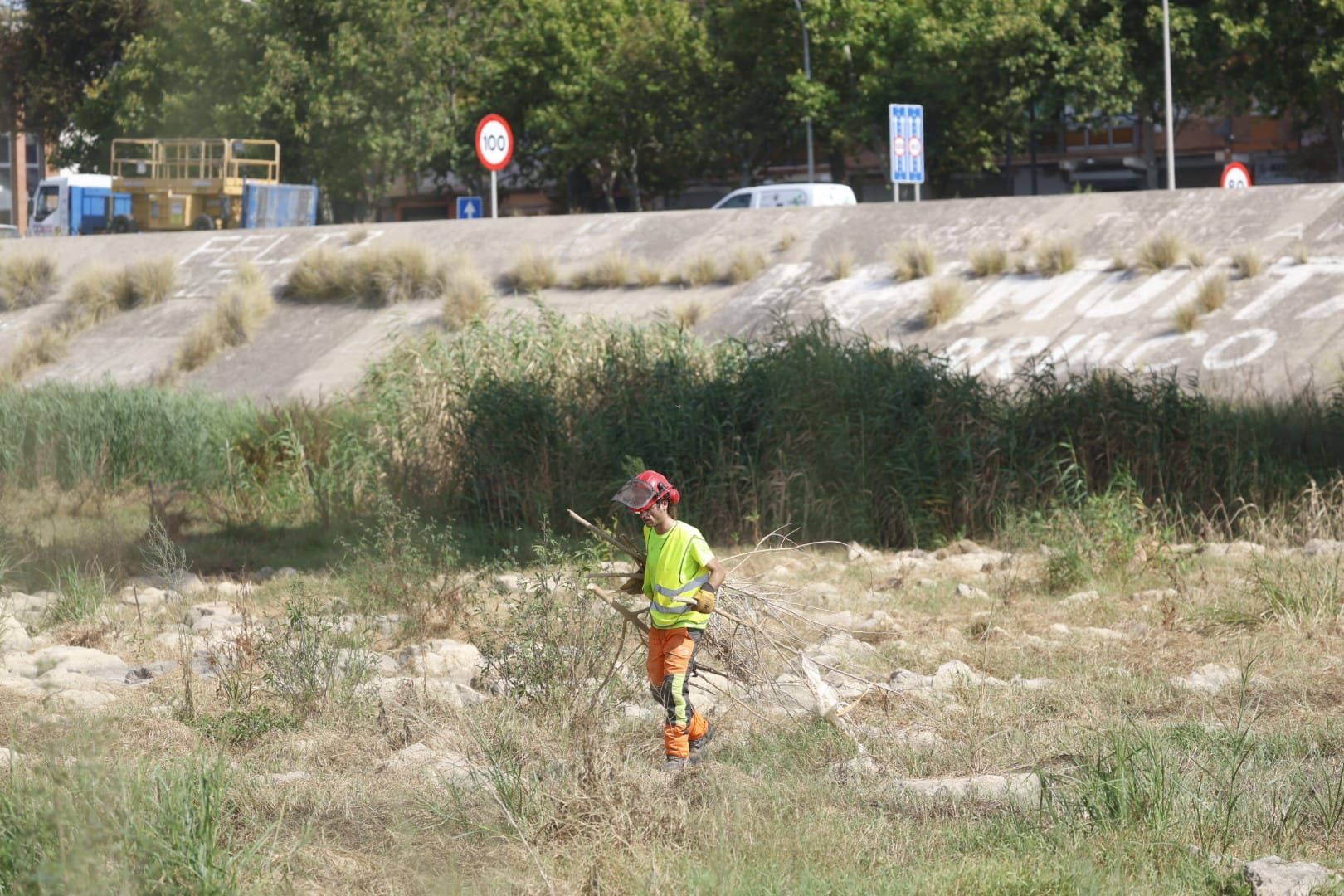El Ayuntamiento de Valencia limpia el cauce del río ante el retraso de la CHJ