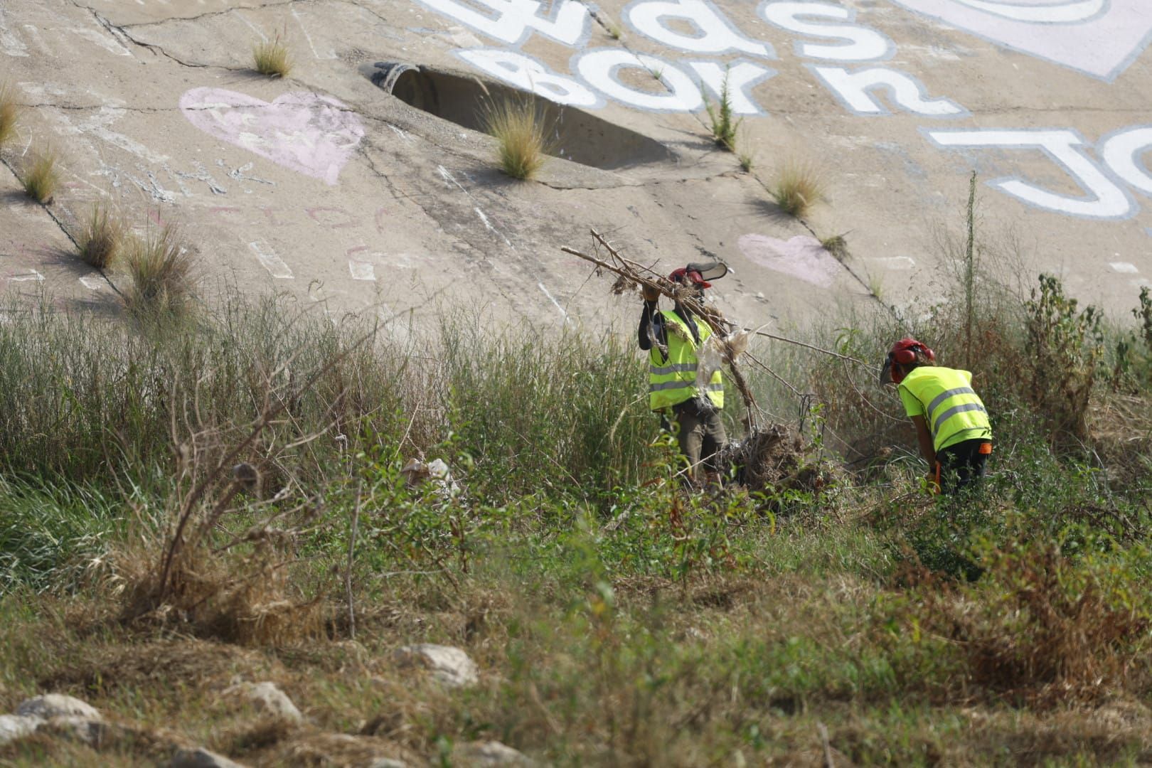El Ayuntamiento de Valencia limpia el cauce del río ante el retraso de la CHJ