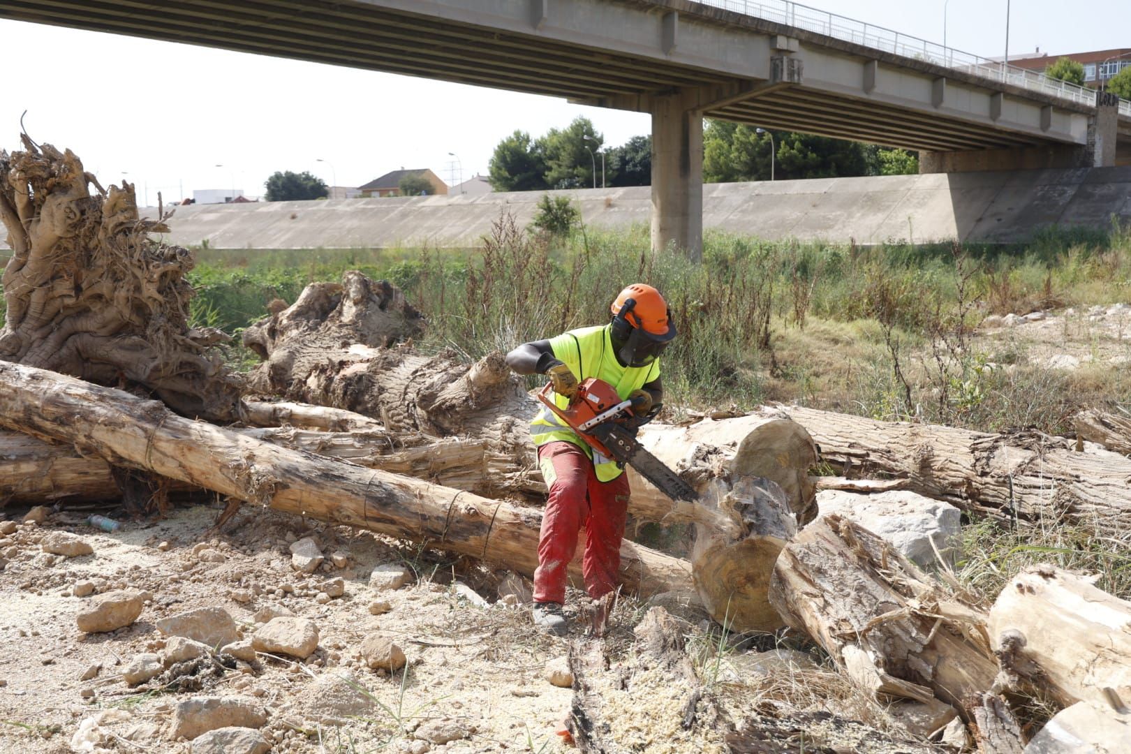 El Ayuntamiento de Valencia limpia el cauce del río ante el retraso de la CHJ
