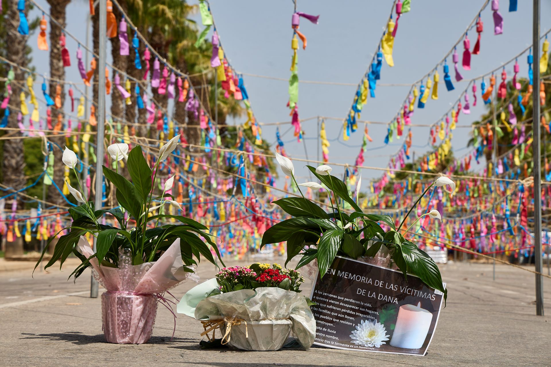 Así ha sido la mascletà más grande de la historia